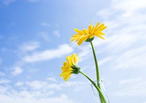 目黒区の葬儀場で家族葬なども可能