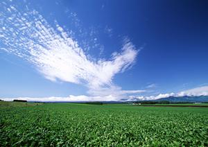 403 Forbiddenエラーの原因と対処法：ウェブサイトアクセス制限の理解と解決策