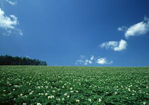 静岡県藤枝市にある家族葬・一般葬に対応した富士葬祭藤枝御苑の特徴とサービス紹介