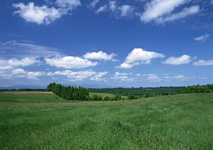 浜松市中央区の安心・信頼の葬儀場【富士葬祭 高林】の特徴とサービス内容を徹底解説