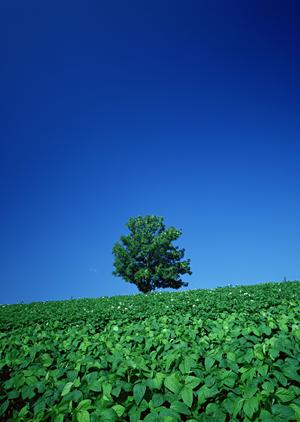 静岡市で信頼と実績の葬儀サービスを提供する富士葬祭の特徴と店舗情報