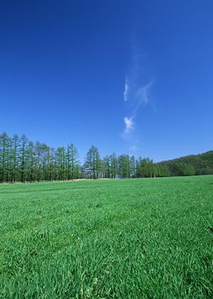 静岡県富士宮市の安心葬儀を提供する「富士葬祭」の魅力と詳細情報