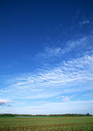 静岡県掛川市における信頼の葬儀サービス：富士葬祭掛川の特徴と詳細情報