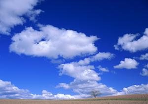 富士市松岡の安心できる葬儀場【富士葬祭 富士松岡】：心温まる家族葬と丁寧なサービスで信頼の葬儀を提供