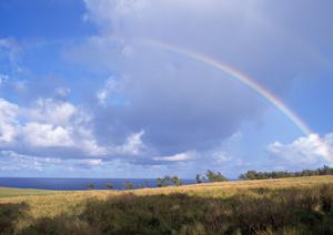 静岡県藤枝市に新規オープン！家族葬の専門斎場「家族葬のタクセル岡出山」の特徴とご利用ポイント