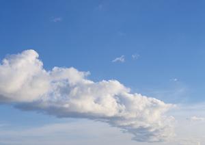 静岡県の家族葬・火葬・葬儀場ガイド｜低価格・安心の葬儀サービスを提供