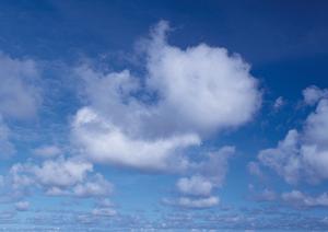 静岡市で安心・信頼の葬儀を提供する富士葬祭 清水：家族葬・一般葬に対応した斎場とサービスの詳細解説