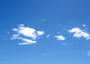 東京都内で絶品コーヒーとリラックス空間が楽しめるカフェ「カフェグリーン」