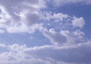 安心の墓じまいガイド｜大阪市でのスムーズな手続きと対策方法