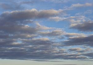 静岡県で選ばれる家族葬専門の葬儀サービス：費用・斎場情報と特徴紹介